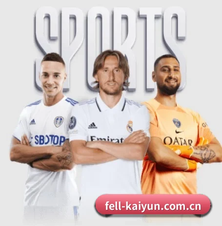 开云 APP - kaiyun